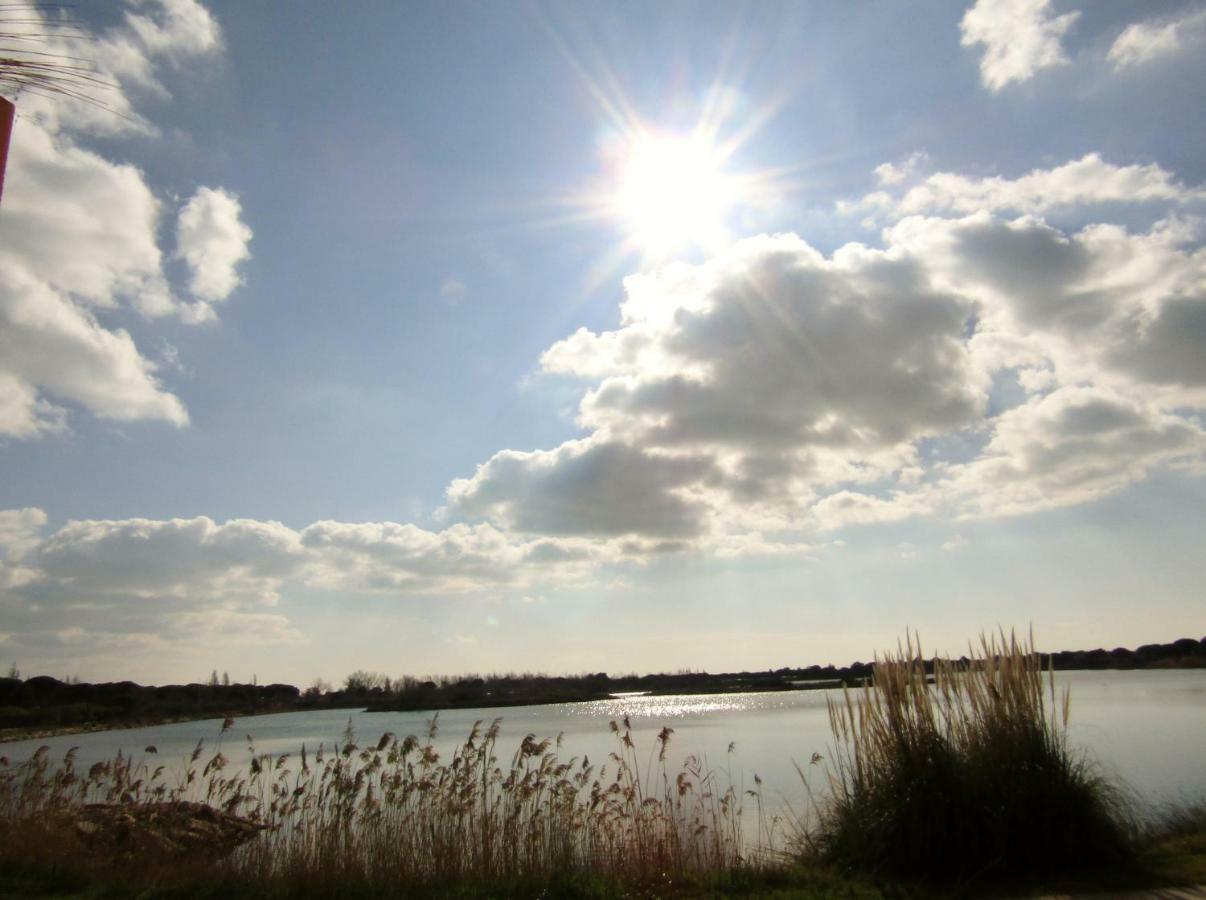 Les rives du lac Le Grau-du-Roi Extérieur photo