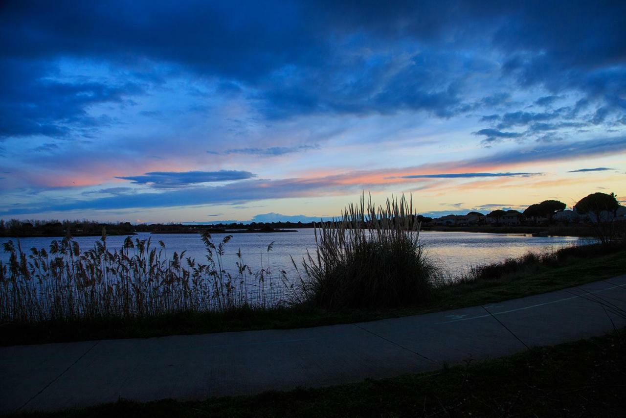 Les rives du lac Le Grau-du-Roi Extérieur photo
